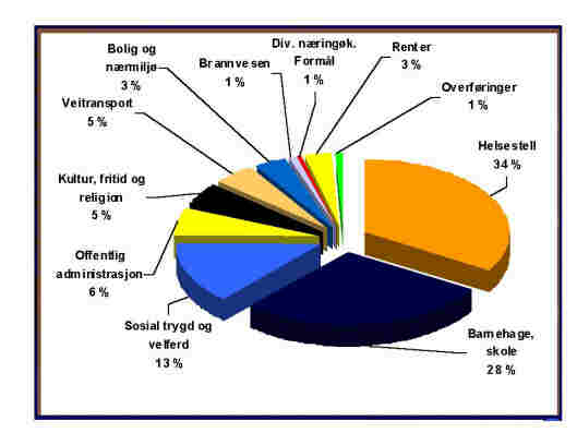 Kakediagram over fordelinga av kommunale utgifter