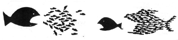 Sm&aring; fisk kan seire over stor fisk!