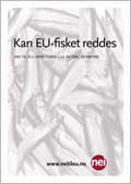 Dag Seierstad: Kan EU-fisket reddes?